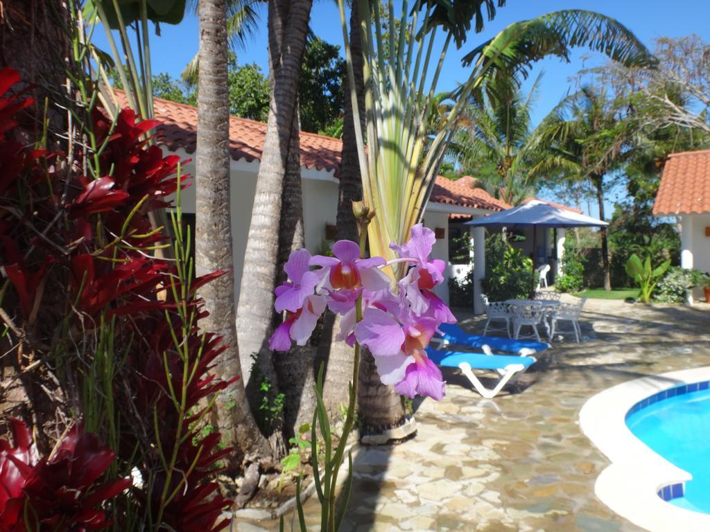 Garden By The Sea Bed and Breakfast Sosúa Buitenkant foto
